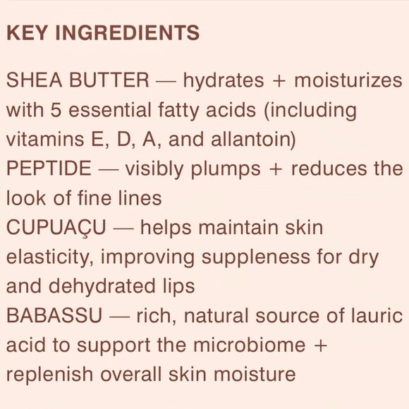 Rhode—Toast (Rose Taupe) Peptide Lip Tint—Full Size (10mL) *NIB* - Picture 6 of 7